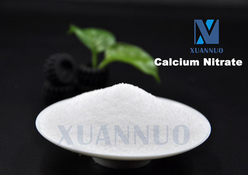 Kalsium Nitrate CAS 13477-34-4 